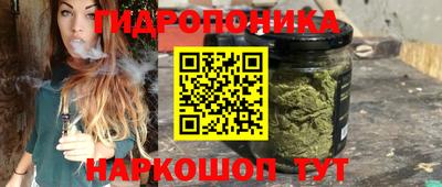 2c-b Будённовск